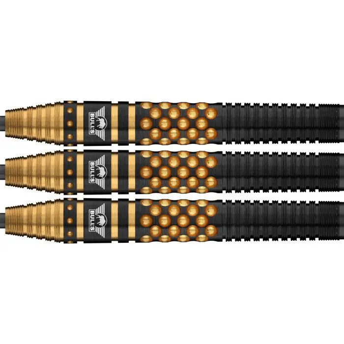 bull-s-richard-veenstra-e2-90 (1).webp