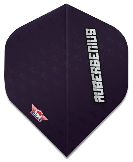 Bull's Player 100 Aubergenius 80 Std