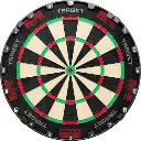 Target Tor Dartboard