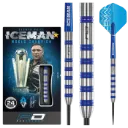 Red Dragon Gerwyn Price challenger 80%