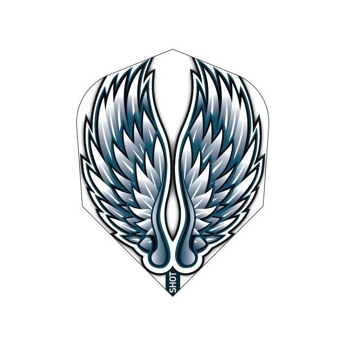 Shot Birds of prey Eagle wings No.6