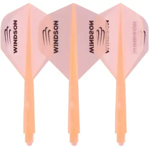 Windson Astix