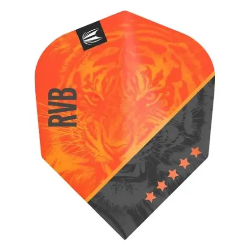 Target Vision Ultra Player Raymond van Barneveld G4