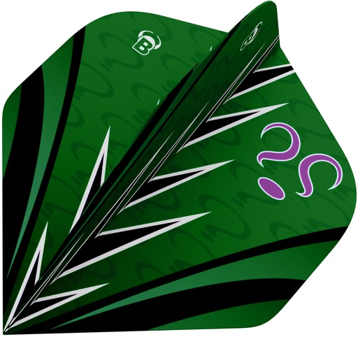 [51847] Bull's B-Star Flights A-Std Brian Raman